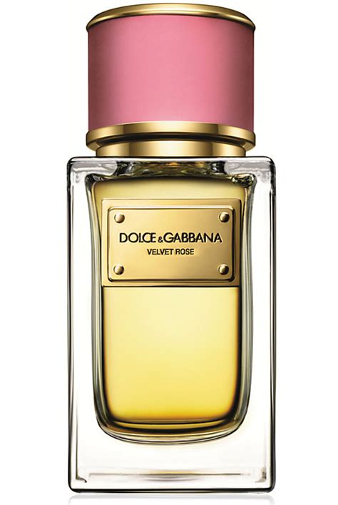 dolce gabbana perfume limited edition|dolce gabbana unisex perfume.